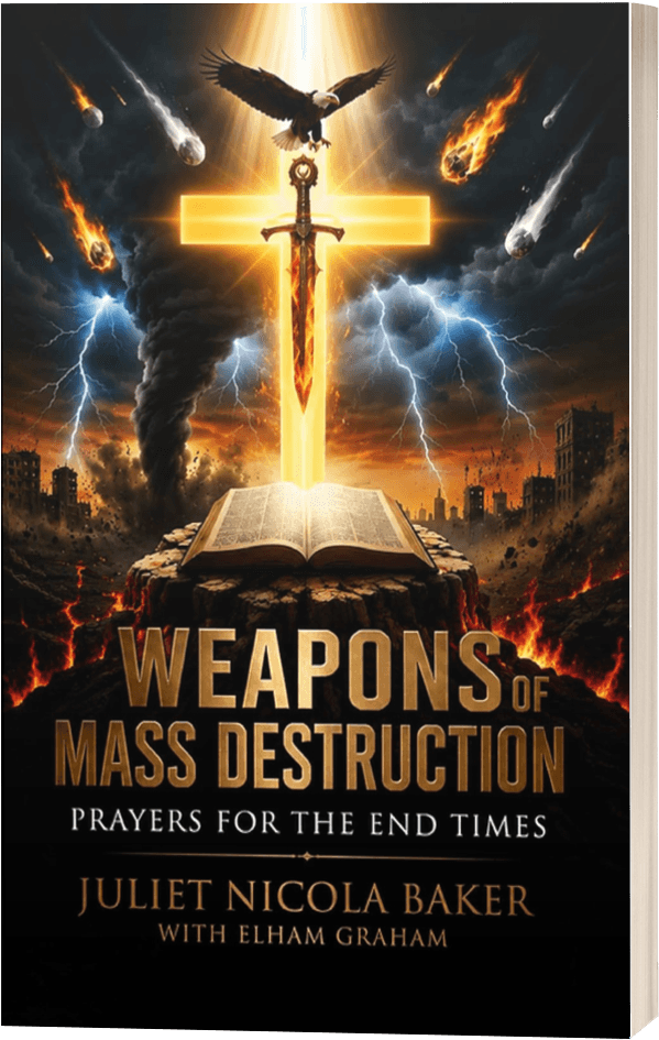 Weapons of Mass Destruction Book Cover Mockup